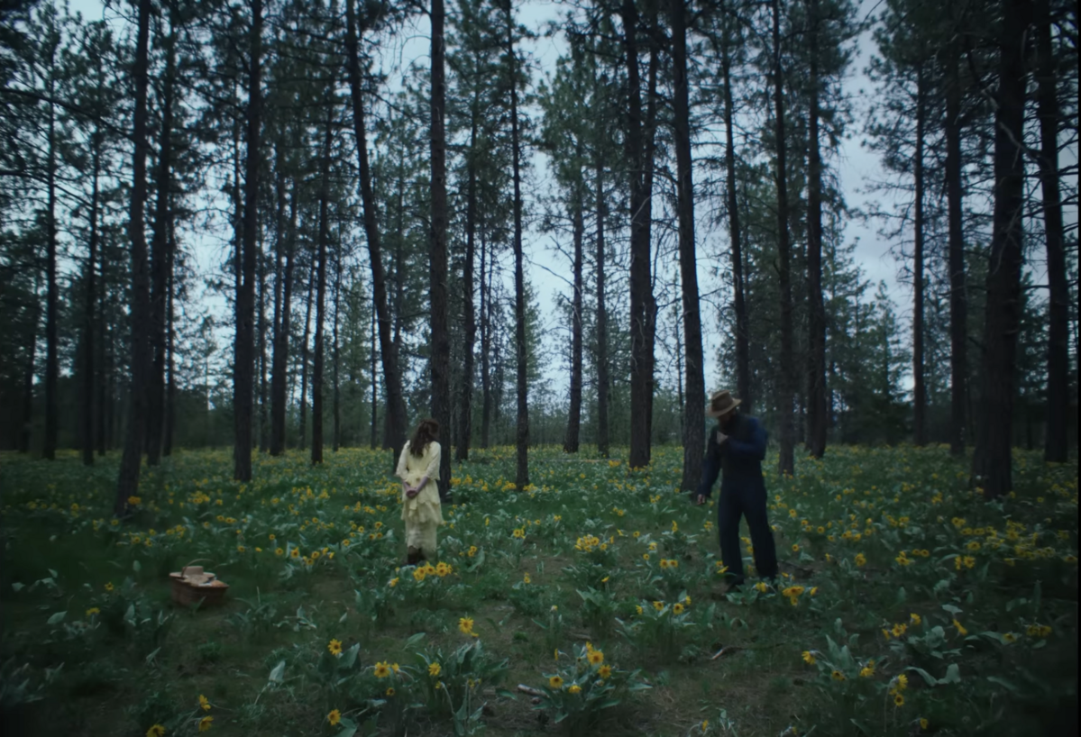 일반적인 와이드스크린 대신 3:2 화면 비율로 아이다호의 솟아오른 나무을 수직적으로 웅장하게 표현 / 이미지 출처: 넷플릭스