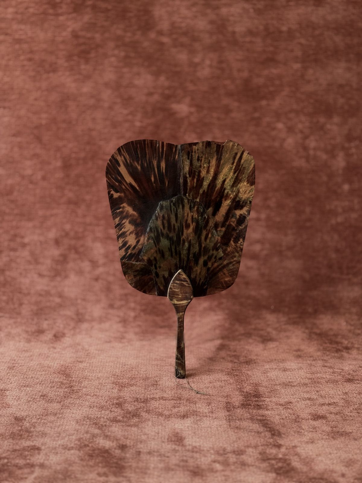 이미지 제공 : 사로 sarō