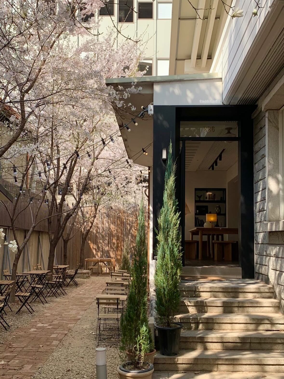 벚꽃 시즌에 포토 존 좌석을 잡으려면 오픈 런 필수. 이미지 출처 : 인스타그램 @saddles_coffee 