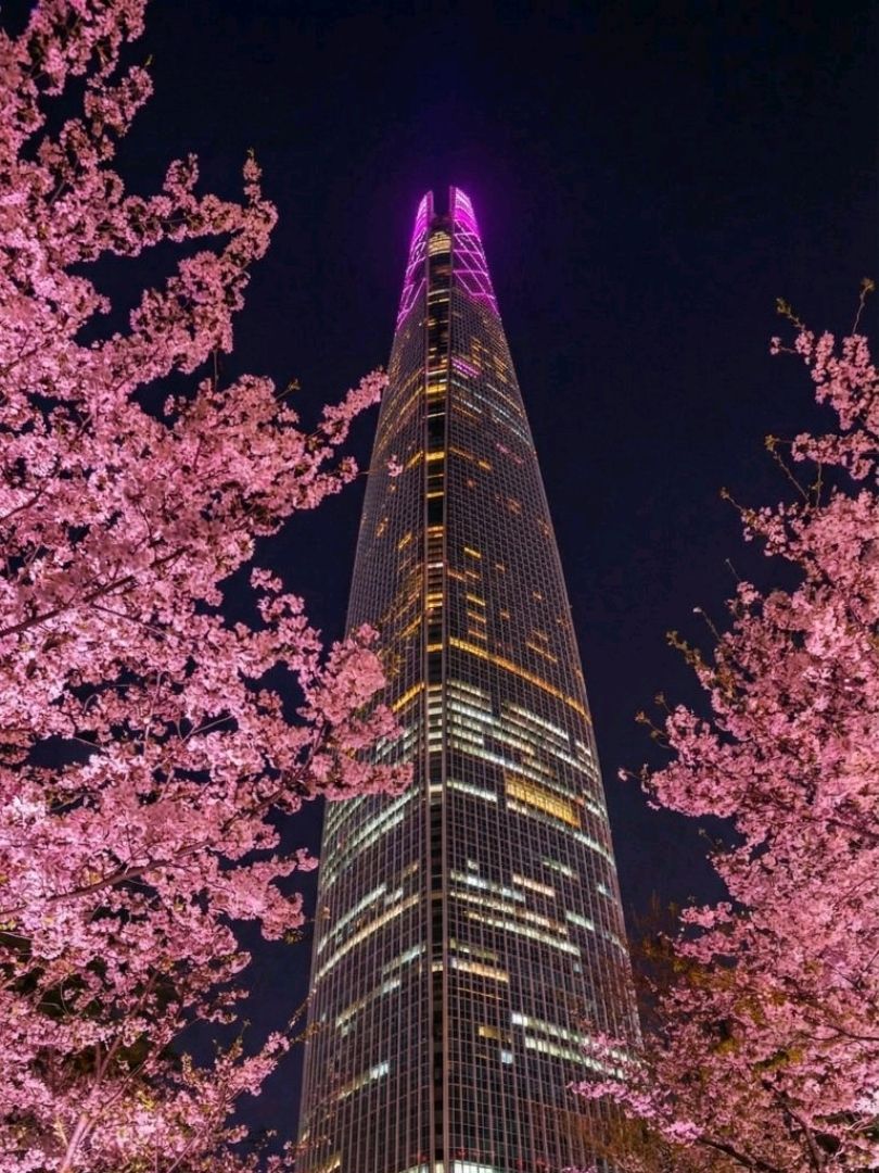 시그니엘 서울의 벚꽃 야경 모습. / 이미지 출처: 트립닷컴