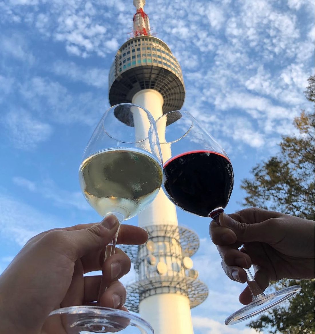 남산타워와 서울 시내 전경, 벚꽃이 낭만적인 풍경을 연출한다. / 출처: N서울타워 공식 인스타그램(@n_seoultower)