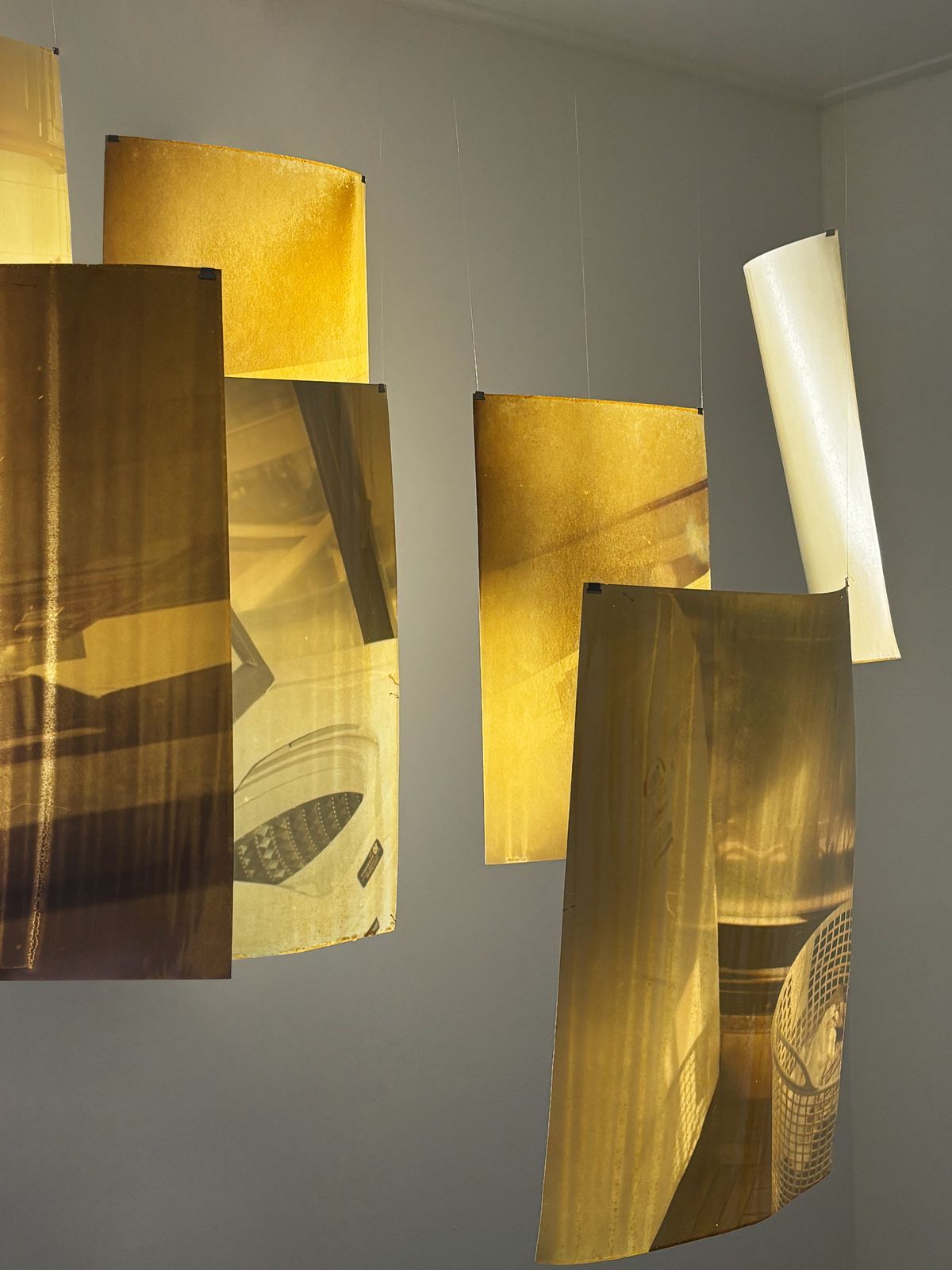 사진을 바닷물에 넣어 변형을 가했다. / 출처: 마이어리거울프