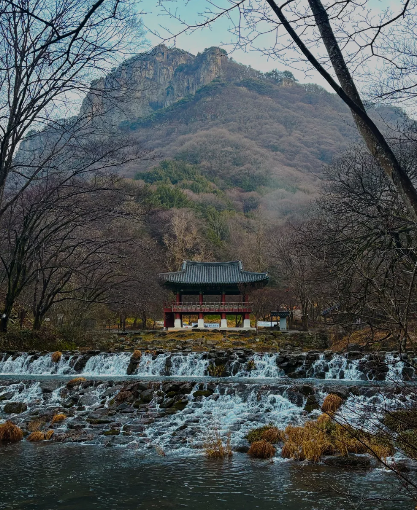 뉴욕타임스, 가디언 등 해외 매체에 소개된 백양사는 사찰음식 명인 정관 스님이 계신 곳으로 유명하다. / 출처: 백양사 인스타그램