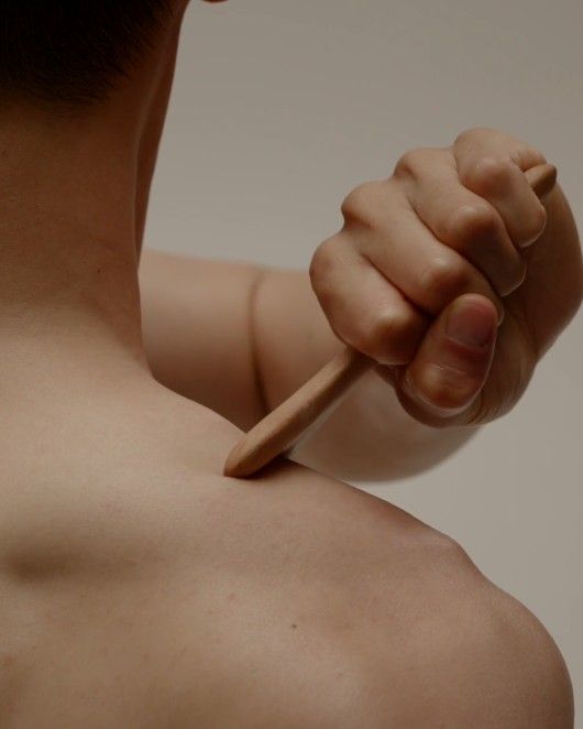 이미지 출처 : 센녹 홈페이지 