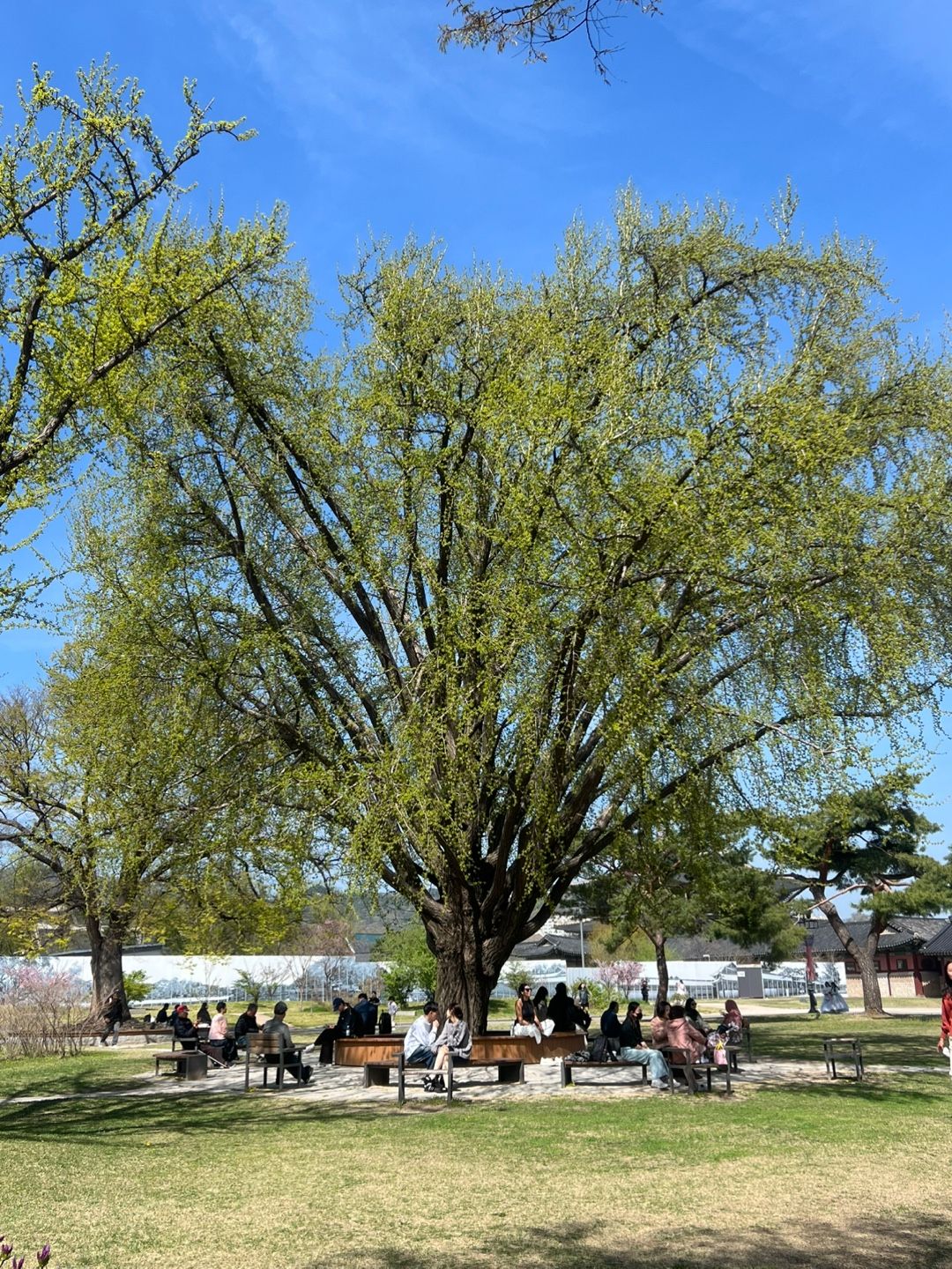 경복궁 일대 풍경 / 이미지 출처: 필자 촬영