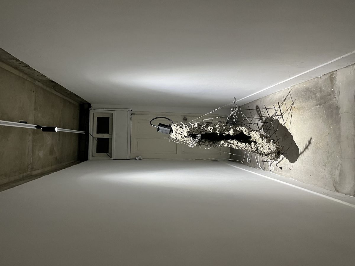 <Irreversible Scenes: 자리 없는 몸들의 시간> 전시 전경 / 이미지 출처: 필자 촬영