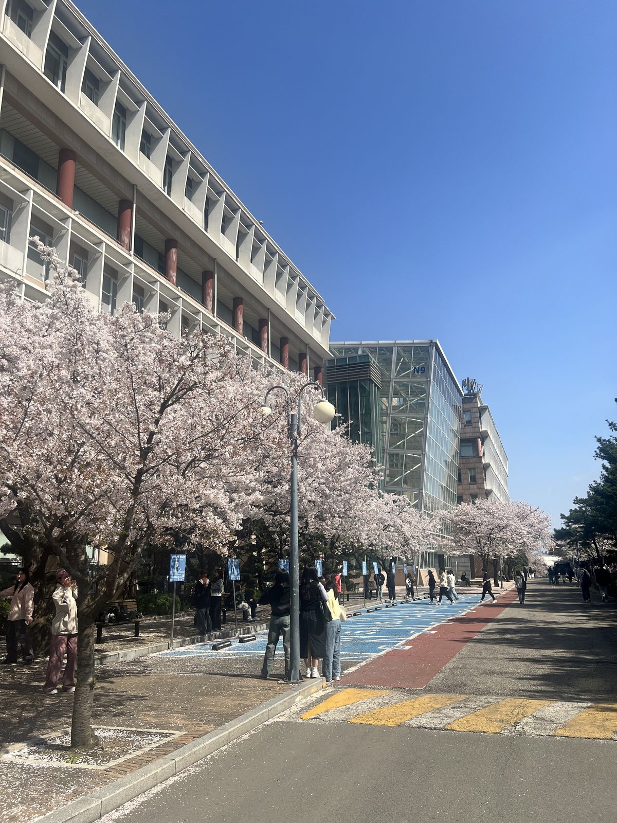 아침 햇살을 듬뿍 받으며 싱그러운 기운을 뿜어내는 캠퍼스 / 이미지 출처: 필자 촬영