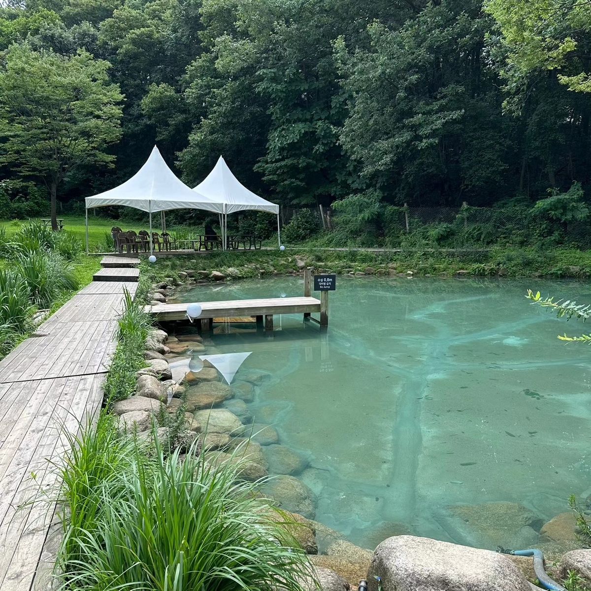 넓은 부지를 기반으로 다양한 액티비티가 마련된 네이처독. 이미지 출처: 네이버 지도 업체 제공 / 인스타그램 @naturedog.official