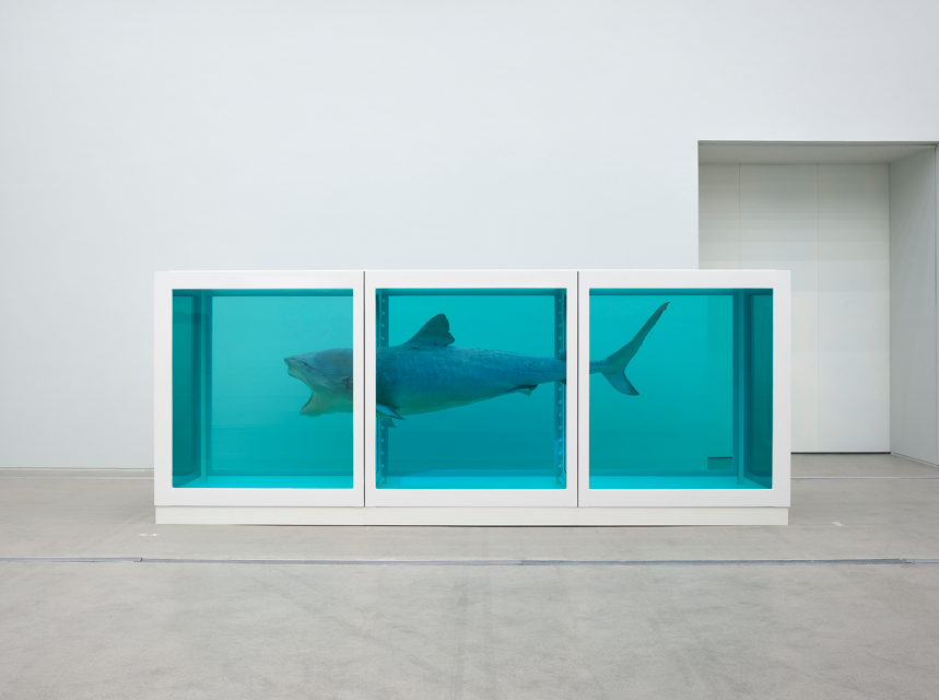 데이미언 허스트<살아있는 자의 마음 속 죽음의 물리적 불가능성>(1991) / 이미지 출처: 국립현대미술관 제공