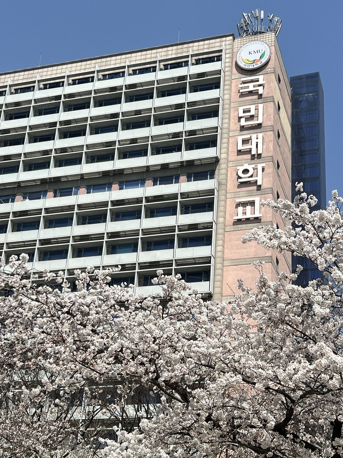 4월의 캠퍼스 / 이미지 출처: 필자 촬영