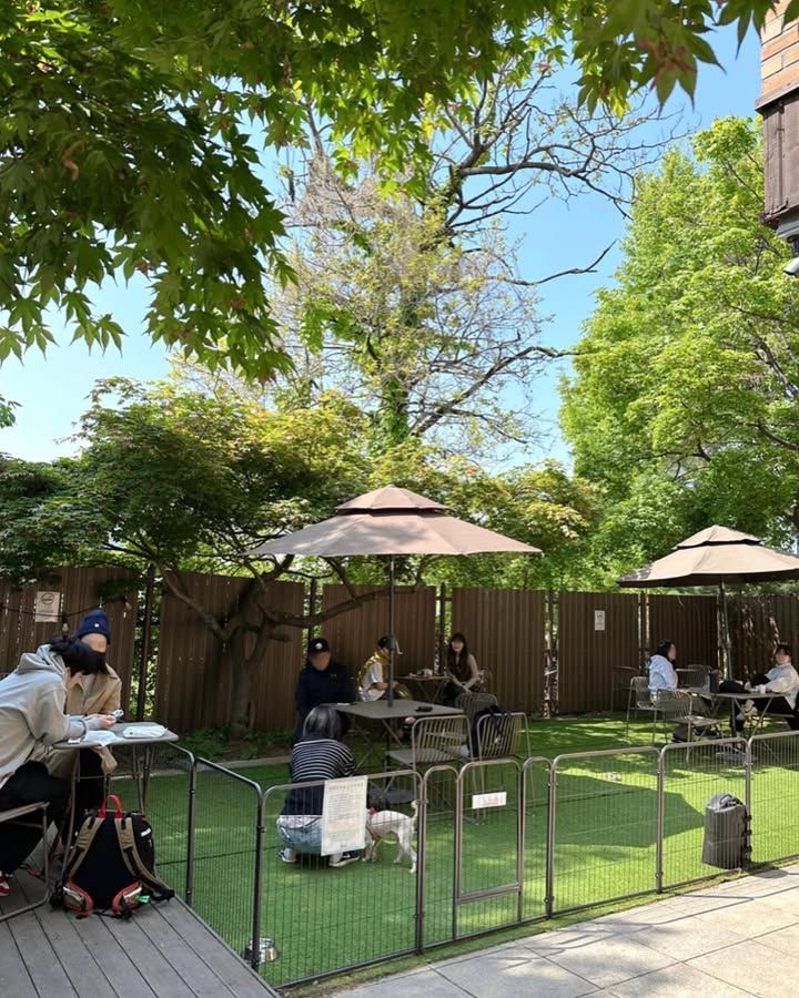 실내외 모두 여유를 위한 공간이 마련된 카페 앞마당. 이미지 출처: 네이버 지도 업체 제공 / 인스타그램 @jungys3160