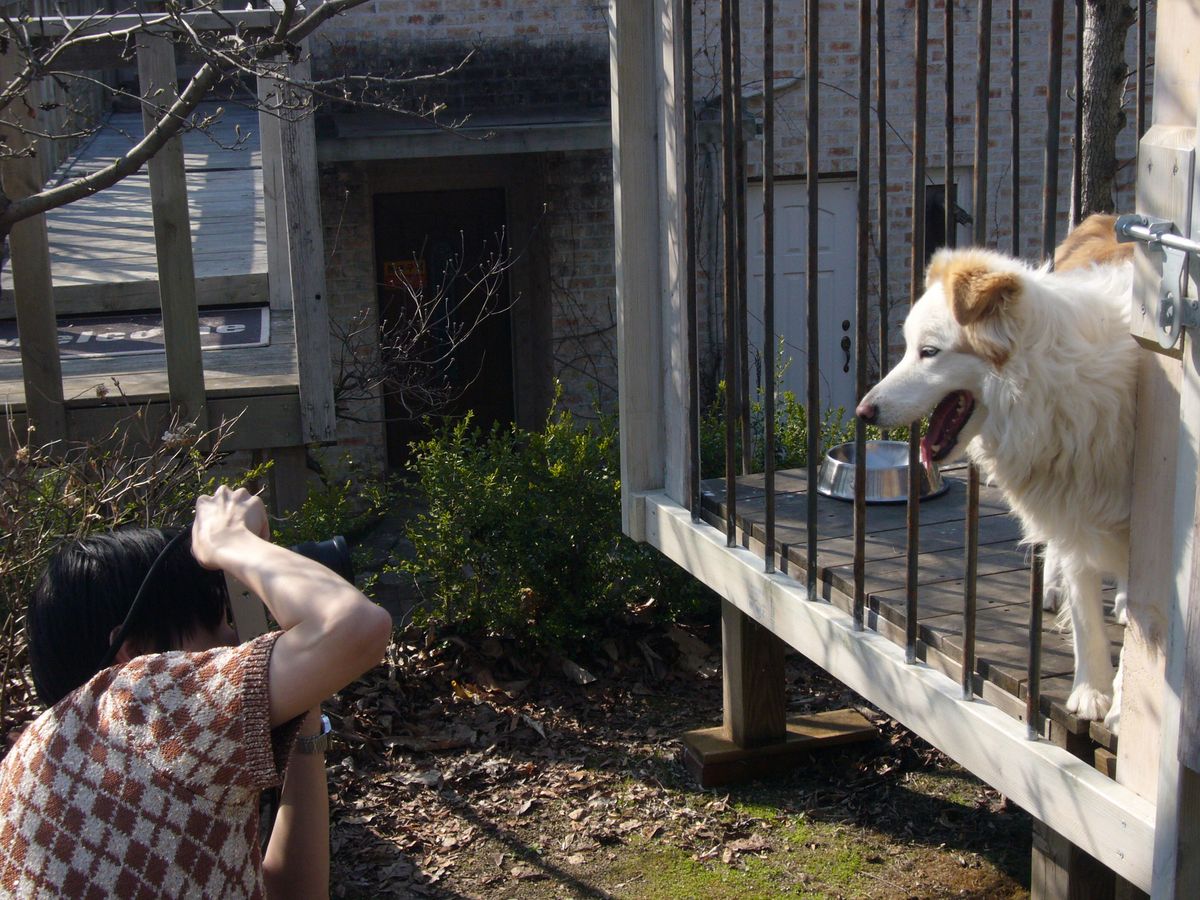 최근 산 카메라로 태산이를 담는 립우.