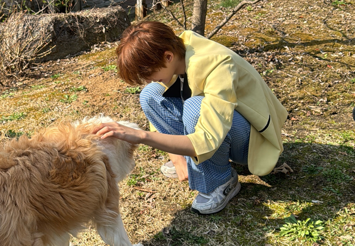 태산이랑 노는데 진심인 플레어 유 우진.