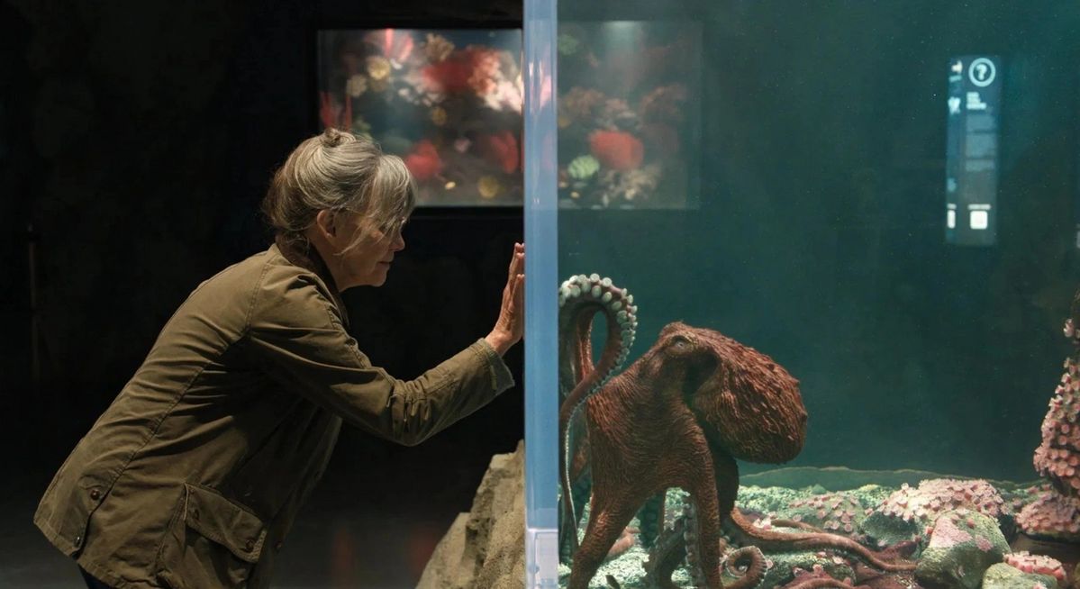 영리한 문어 마셀러스, 방황하는 청년 캐머런, 그리고 미망인 토바의 따듯한 이야기 / 이미지 출처: 넷플릭스