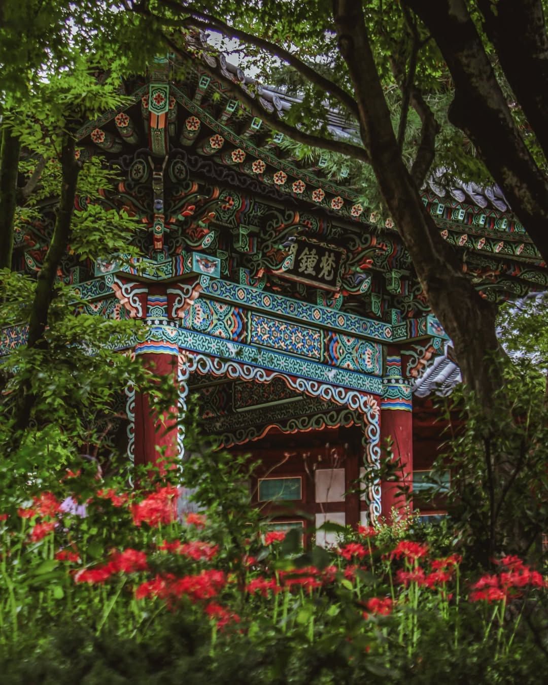 풀 숲과 꽃이 화려한 단청과 잘 어울리는 길상사 | 이미지 출처: @conforto.7 