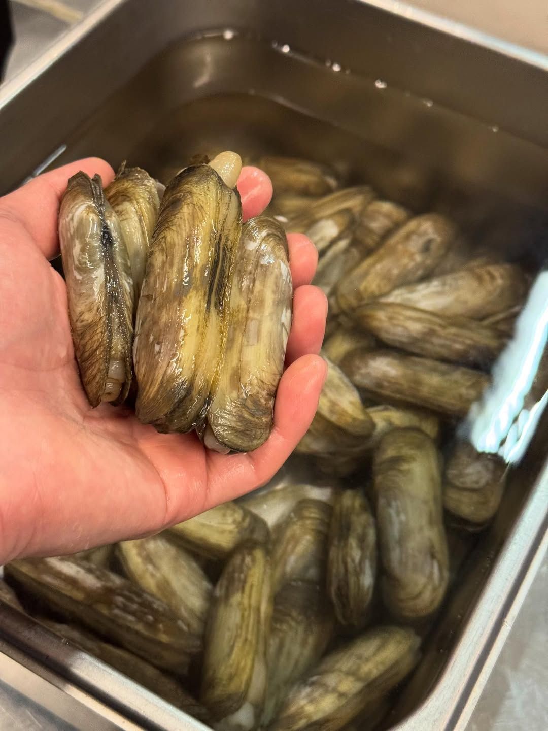 제철 재료인 맛조개와 풋마늘을 이용한 맛조개 찜 / 출처: 디핀을지로3가 인스타그램