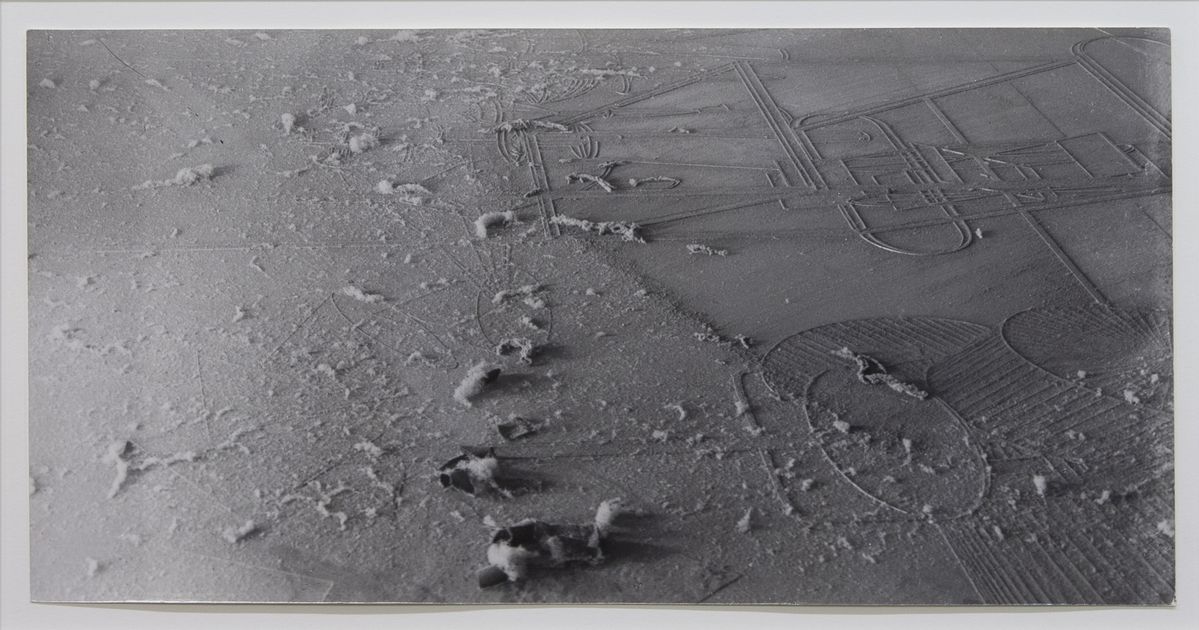 만 레이, <먼지 배양>, 1921-1975