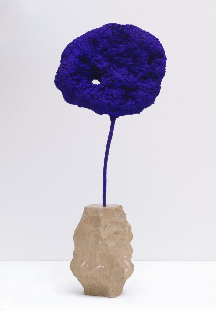 Bequest of Phyllis C. Wattis; © Artists Rights Society (ARS), New York / ADAGP, Paris; photo: Katherine Du Tiel. 