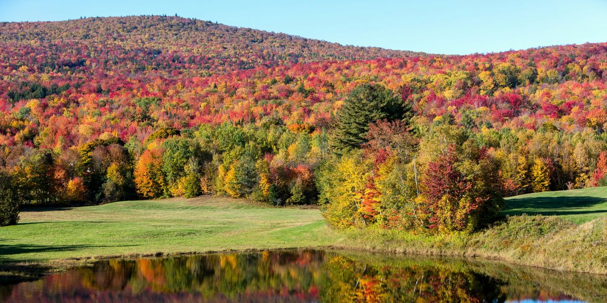 붉고 노랗게 물든 단풍과 푸른 페어웨이가 어우러진 가을 골프장. 짧지만 가장 아름다운 라운딩 시즌의 풍경을 보여준다. / 이미지 출처: 언스플래쉬
