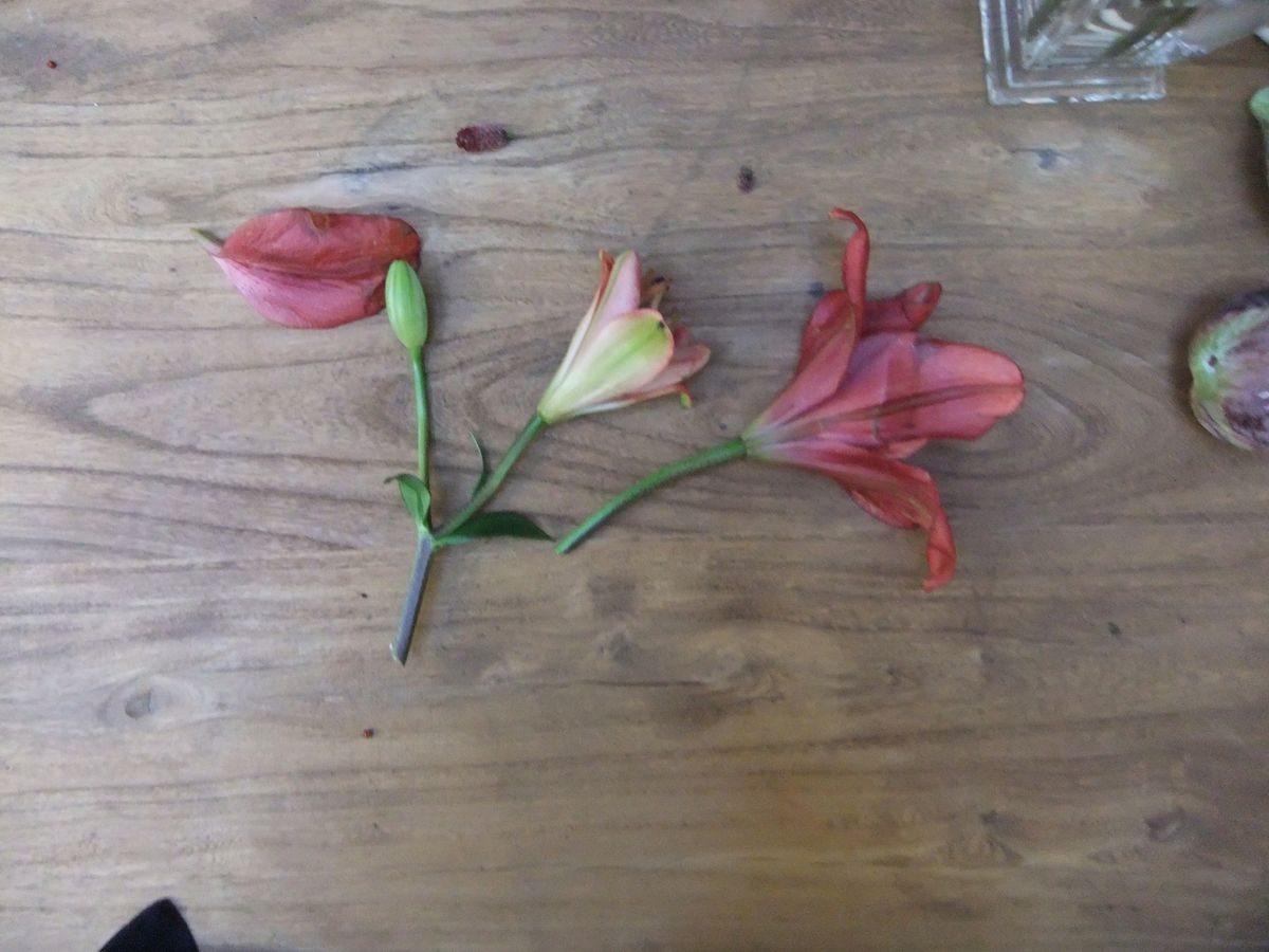 에스콰이어 촬영 현장에서 현진이 마주한 꽃