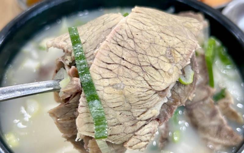 90살 넘은 서울 노포 맛집