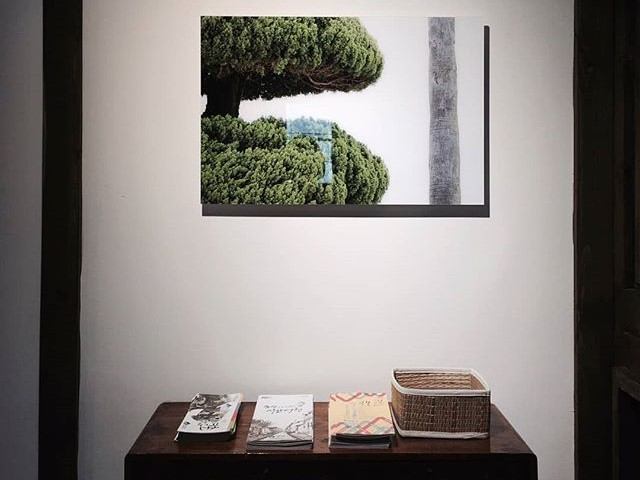 @daho_guesthouse