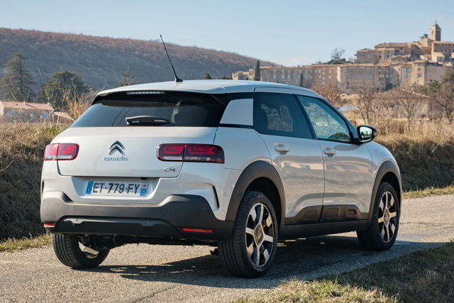 C4 Cactus