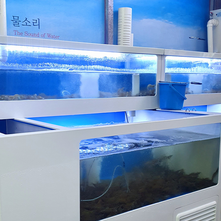 창우수산 활새우직판장