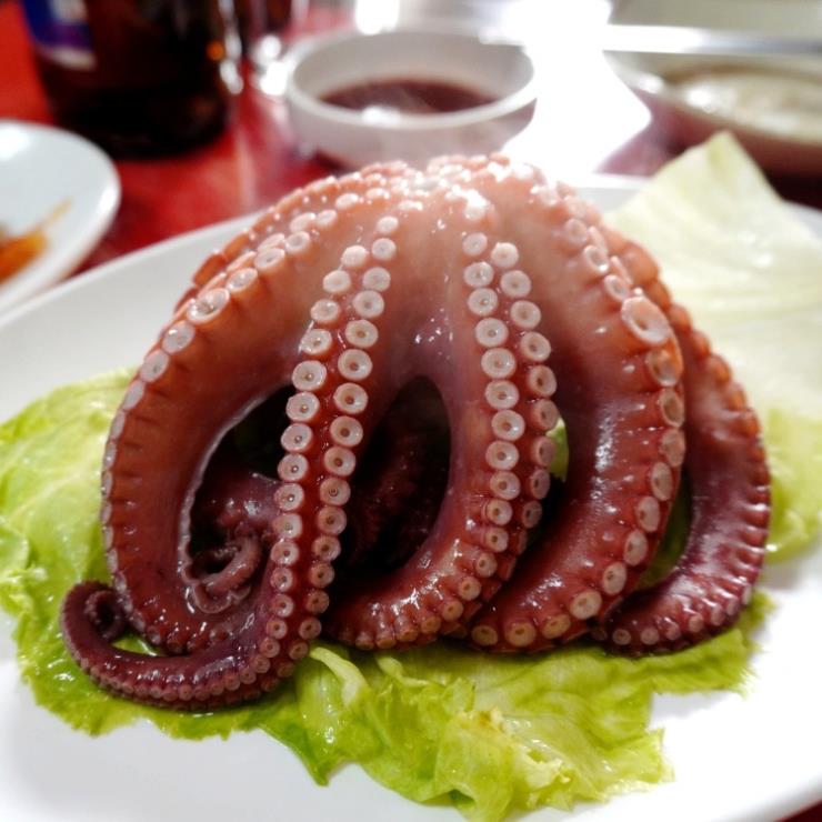 고흥집