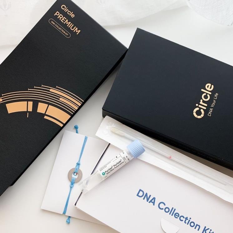 서클 DNA