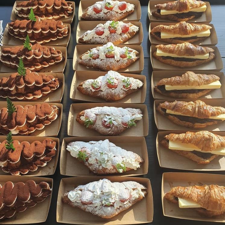 @tendogs2019