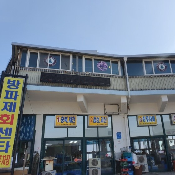 주문진, 방파제회센타