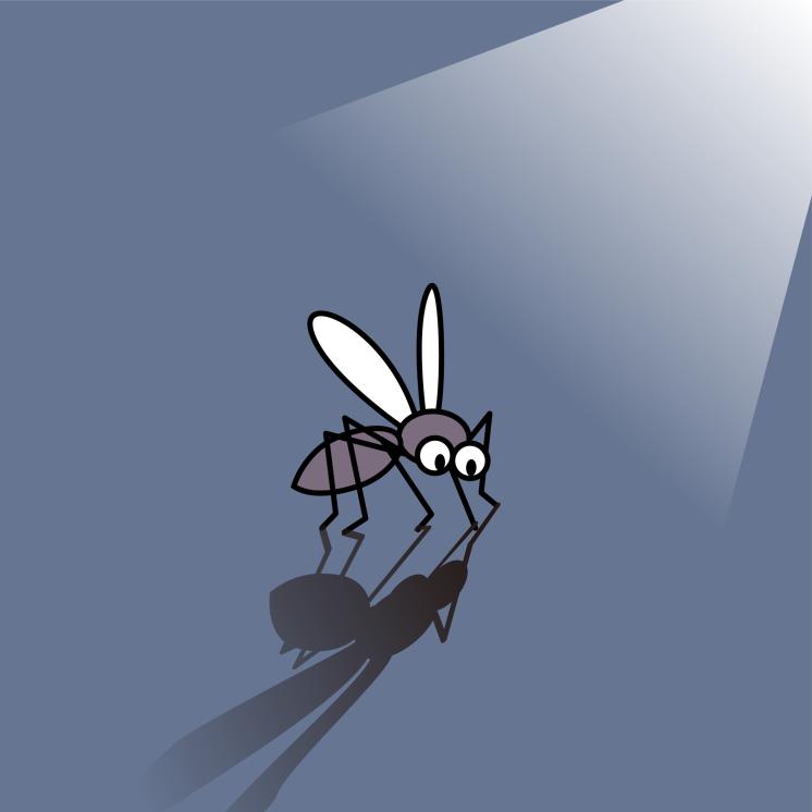 모기와의 전쟁