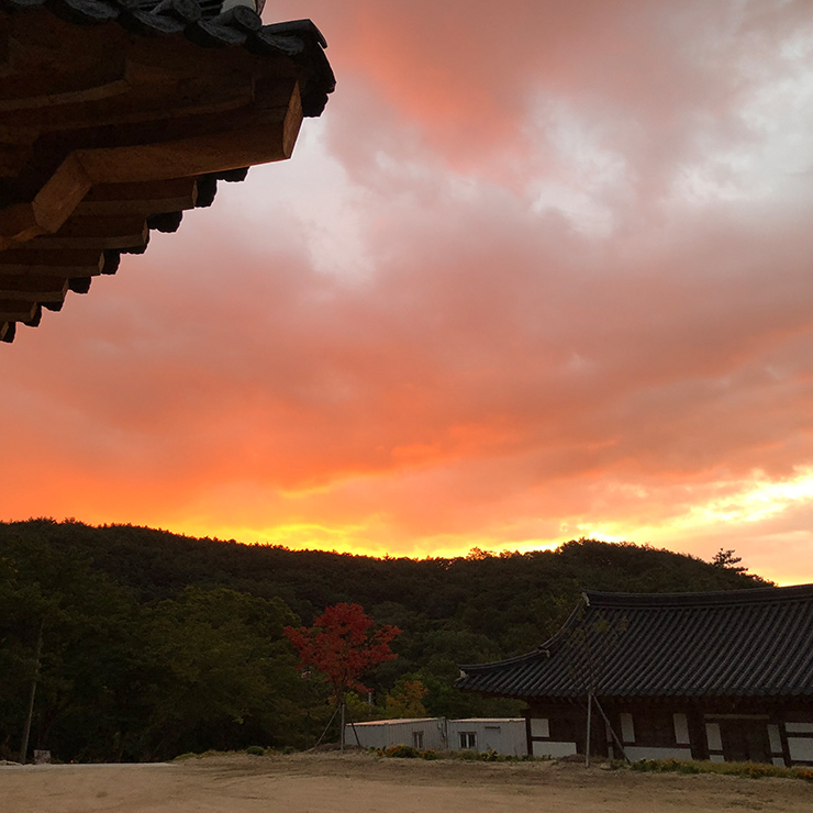 봉정사