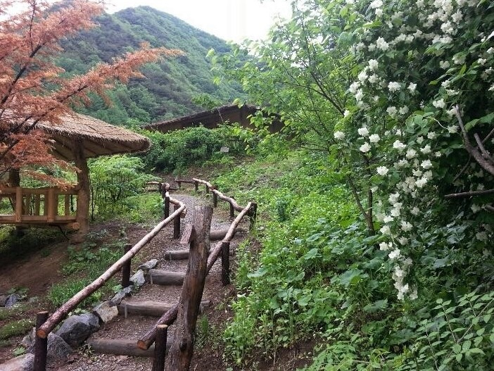 산골초가집