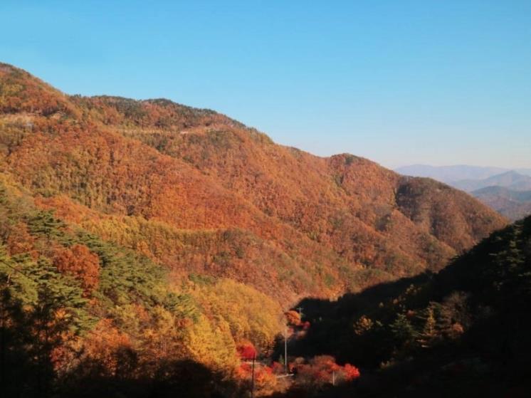 ⓒ충북도청 공식블로그