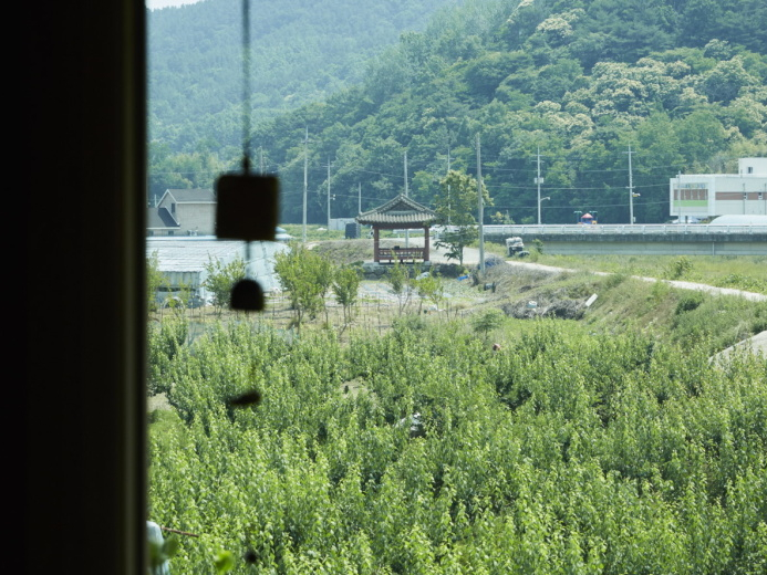설담가