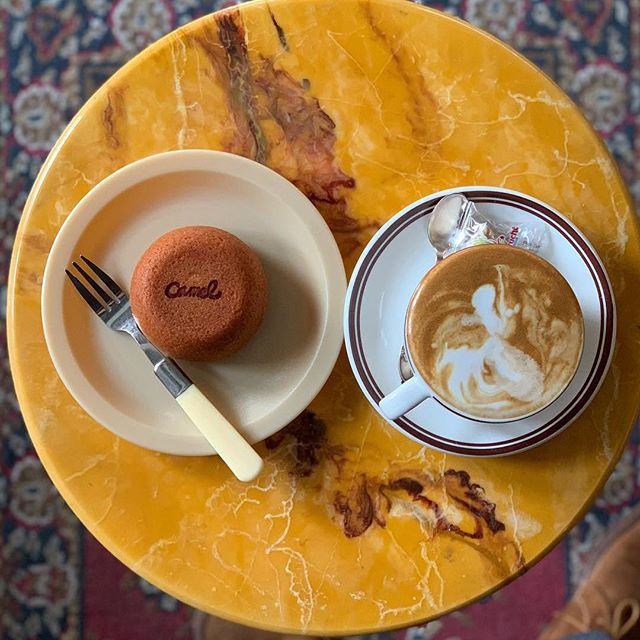 @camel__cafe