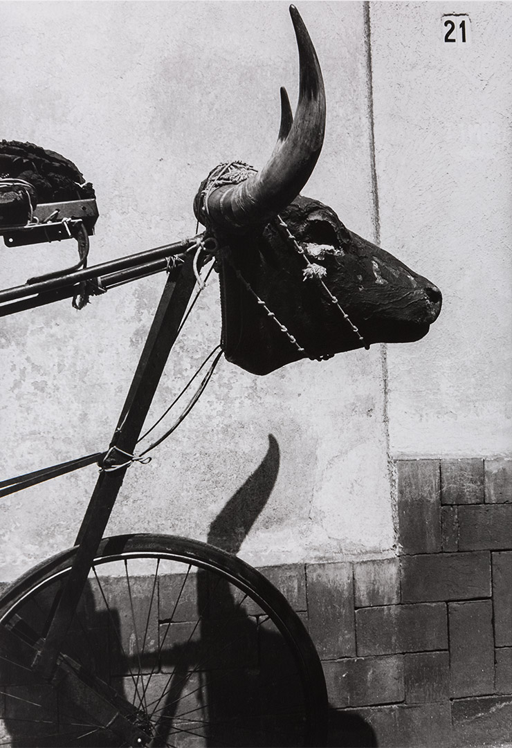 Torito, Coyoacan, Mexico, 1983, Tirage gelatino-argentique Silver gelantine print ⓒ Graciela Iturbide
