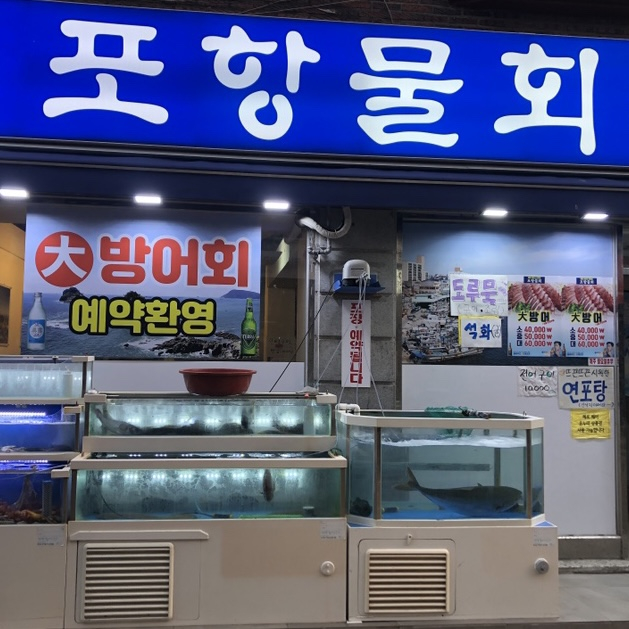 포항물회