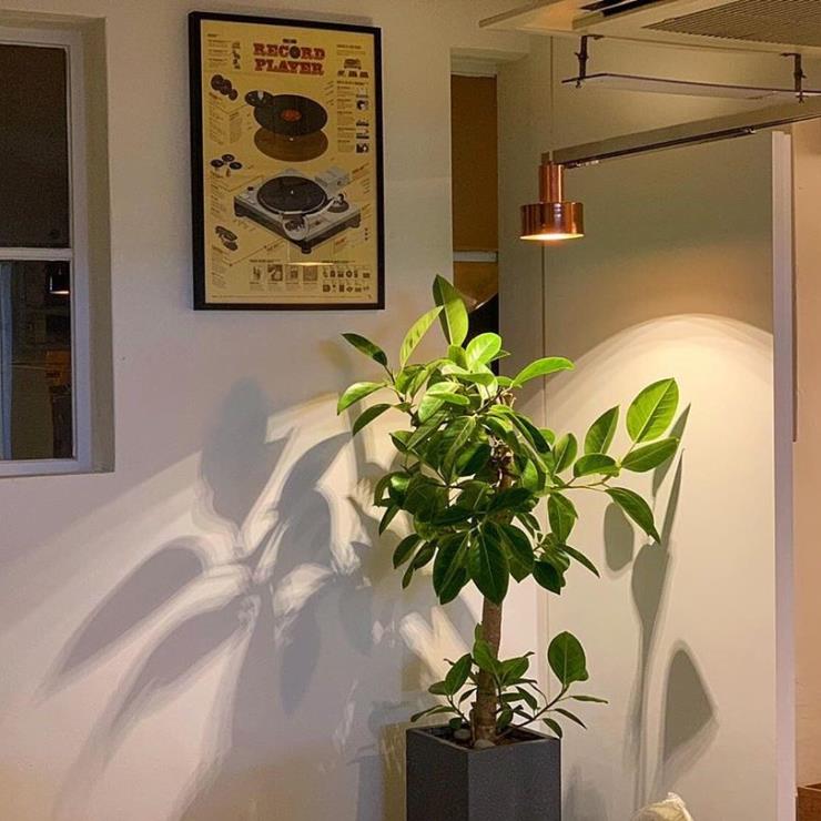@kitchen_onl
