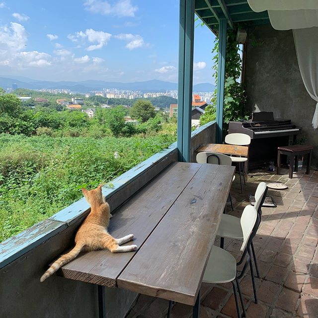 @tow_coffee
