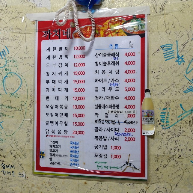 블로거 @puravida