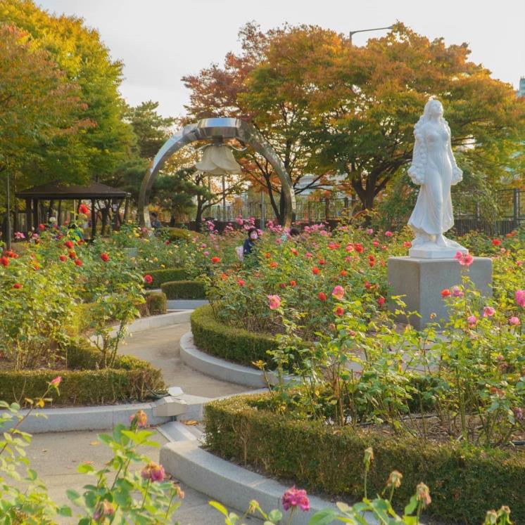 @seoulrosefestival