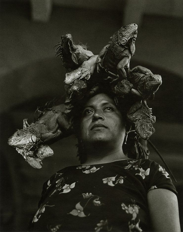 Nuestra Senora de las Iguanas, Juchitan, Oaxaca, 1979, Tirage gelatino-argentique Silver gelantine print ⓒ Graciela Iturbide