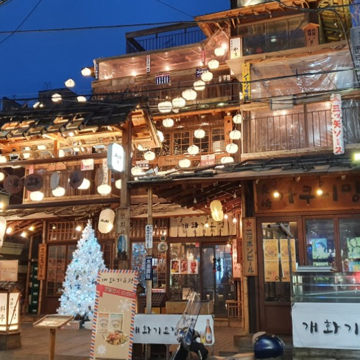개화기요정