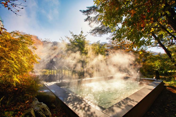 포레스트 리솜 @resom.resort