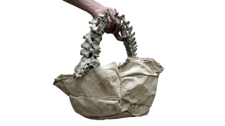 arnold putra, human spine bag