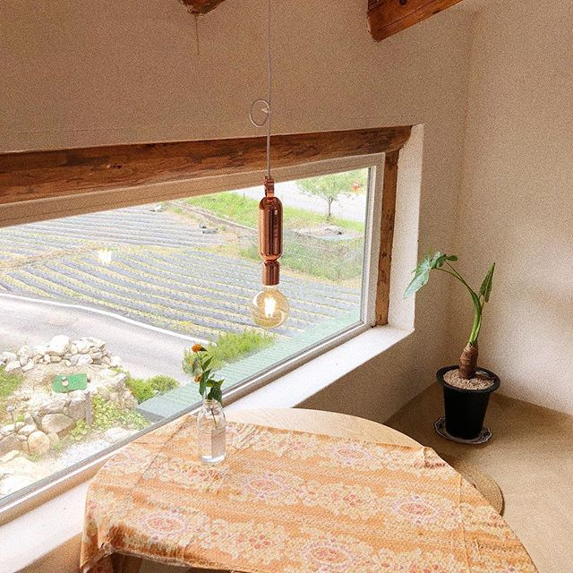 @anukhanok
