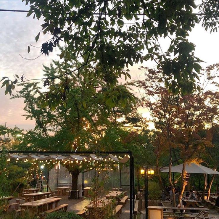 @forest_grill_cafe